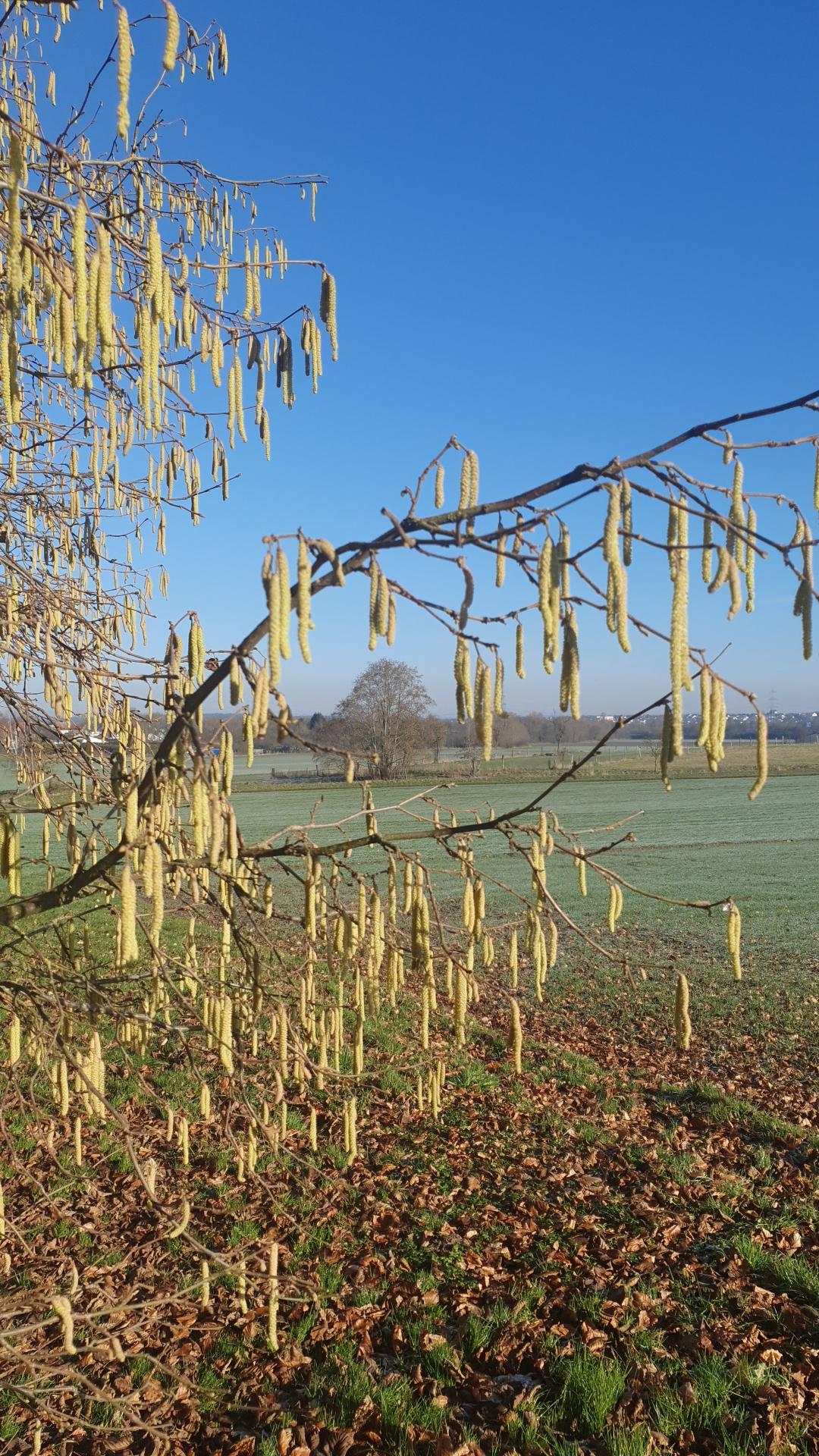 Warten auf den Frühling.